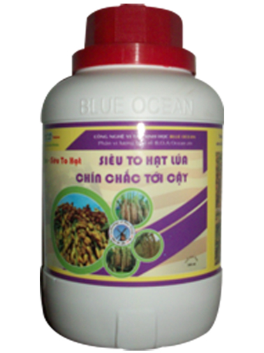 ECO - SIÊU TO HẠT