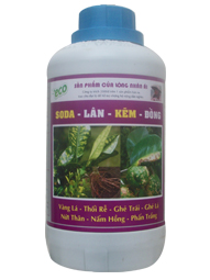 SODA - LÂN - KẼM - ĐỒNG