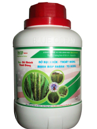 ECO - ĐẺ NHÁNH THOÁT ĐÒNG