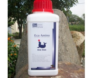 ECO - AMINO