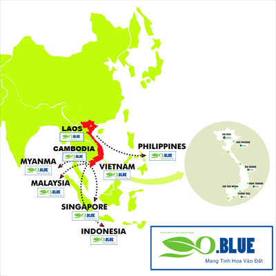 Hệ thống phân phối