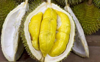 QUY TRÌNH DÀNH CHO CÂY SẦU RIÊNG