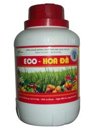 ECO - HOA ĐÀ