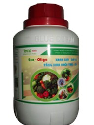 ECO - OLIGO