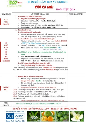 RA HOA NGHỊCH VỤ TRÊN CÂY CÓ MÚI