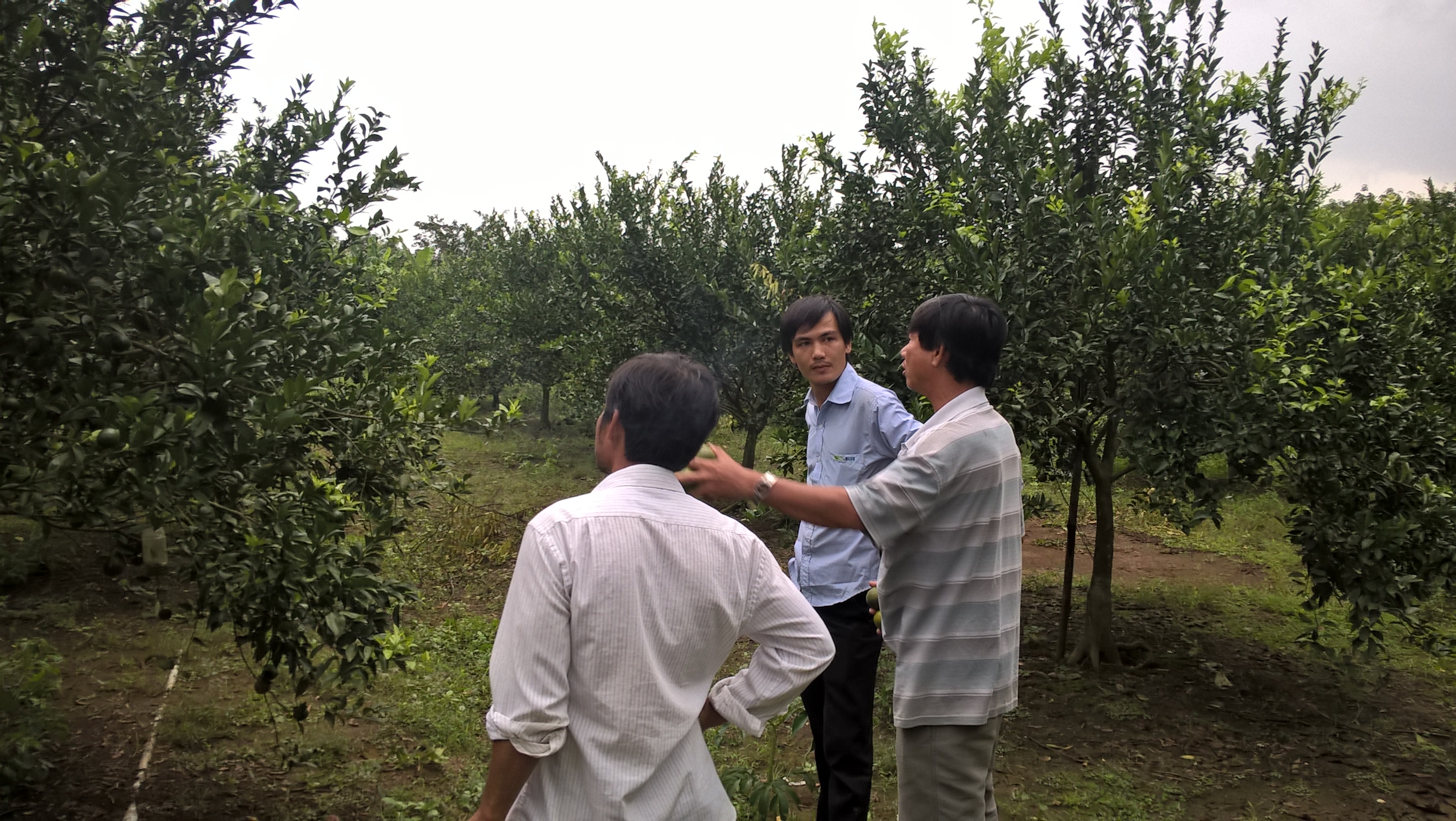 MANG TINH HOA VÀO ĐẤT