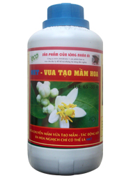 MKT - VUA TẠO MẦM HOA