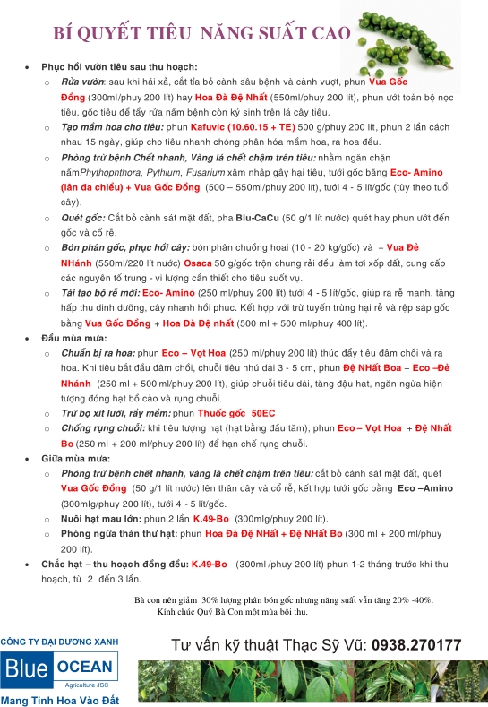 KỸ THUẬT TRỒNG TIÊU 