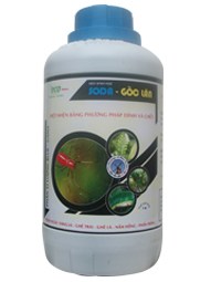 SODA -GỐC LÂN