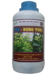 ECO - BUNG TƯỢC