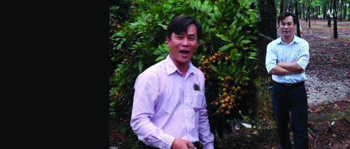 QUYẾT CÙNG BÀ CON LÀM GIÀU TRÊN MẢNH ĐẤT THÂN THƯƠNG CỦA MÌNH