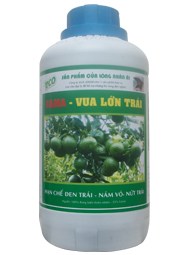 GAMA - VUA LỚN TRÁI