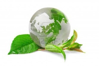 Nông Sản Sạch 100%